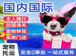 甘孜康定机场快递国际宠物托运 【国